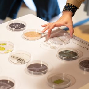 「科学と芸術の丘 2025」在日スイス大使館・科学技術部×科学と芸術の丘 MISAF Lab共同プロジェクト〔写真〕